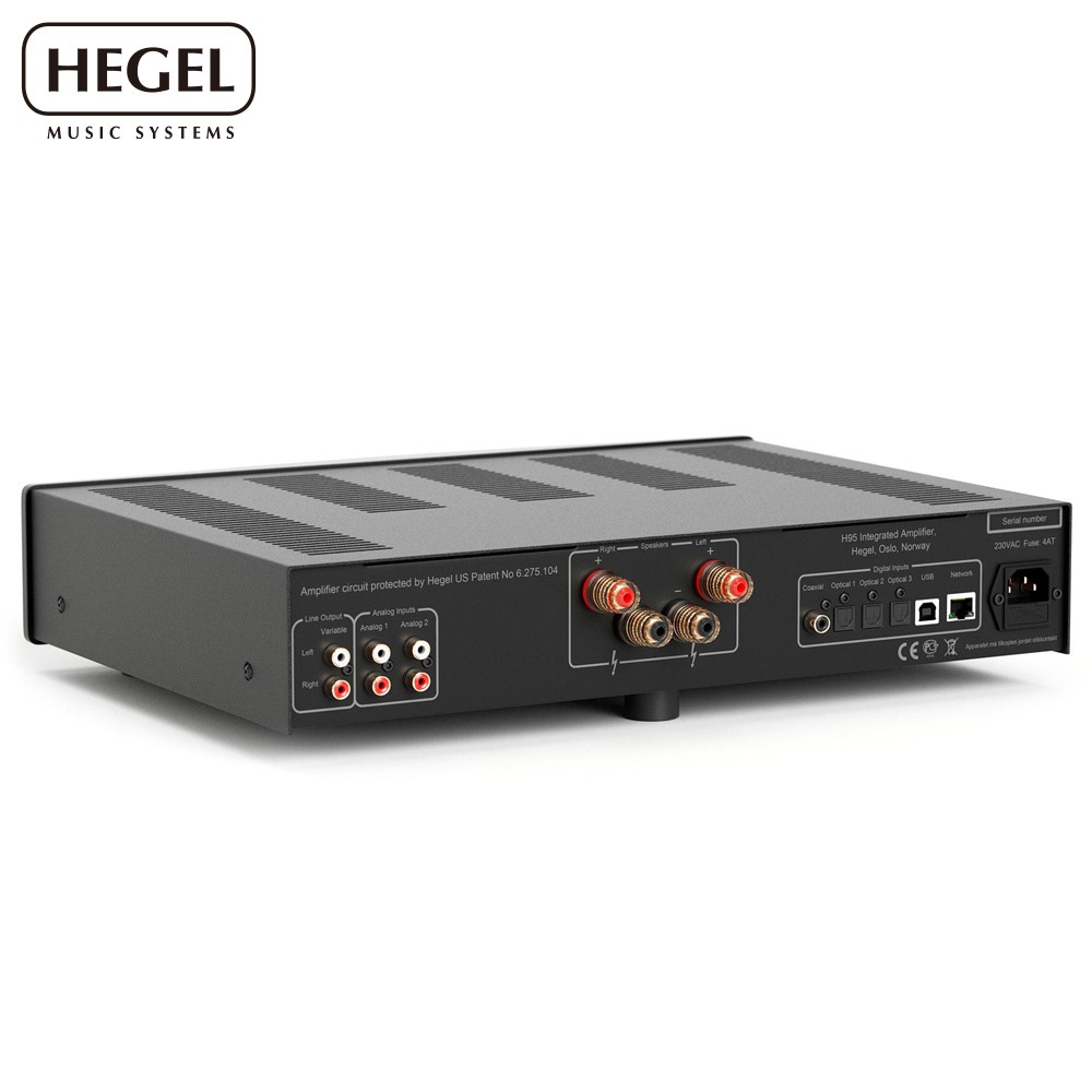 Hegel H95