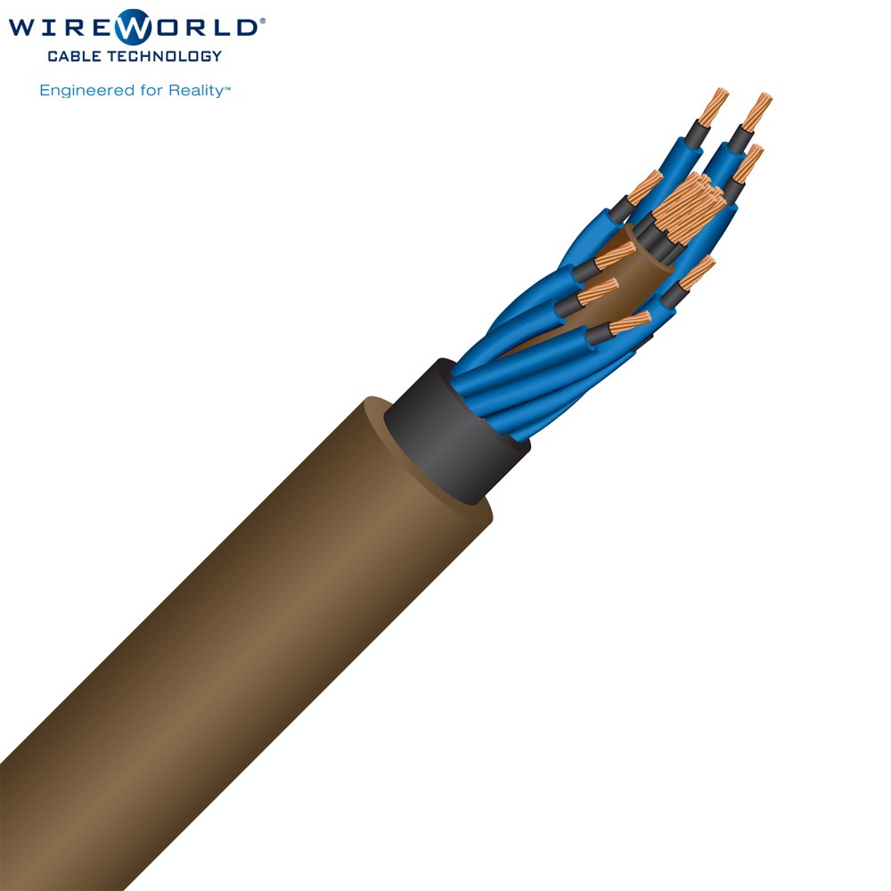 WireWorld Electra 10 Shielded Mini