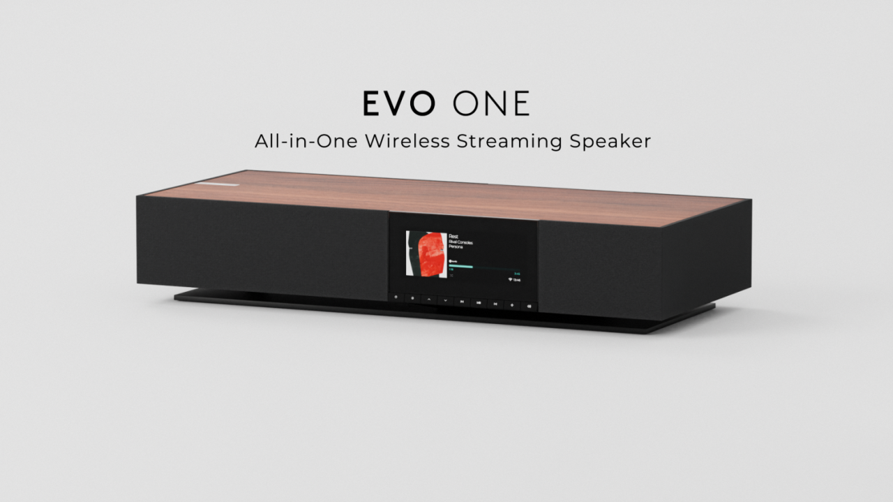 Evo One