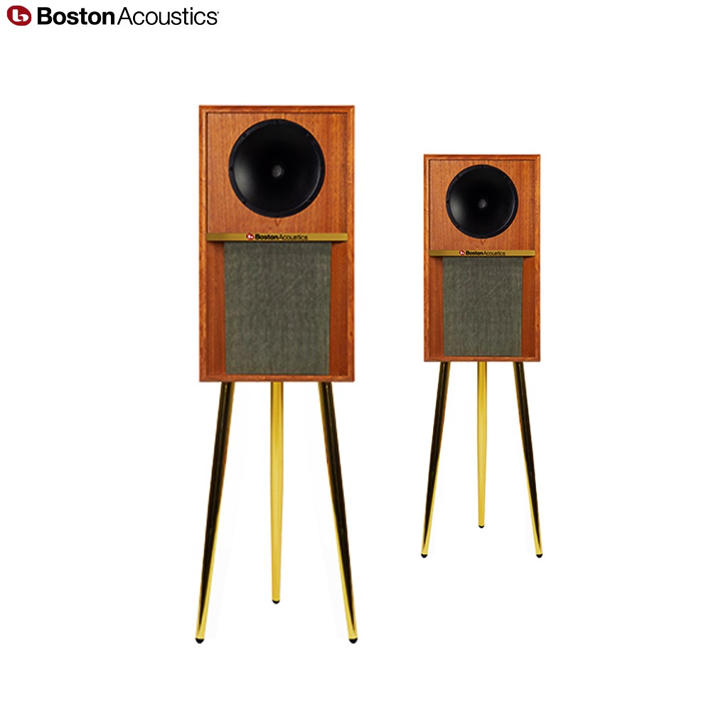 Boston Acoustics The Horn 10 喇叭