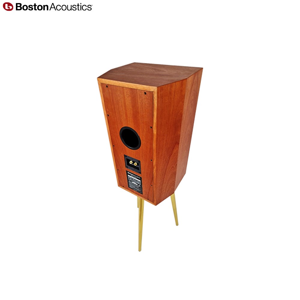 Boston Acoustics The Horn 10 喇叭