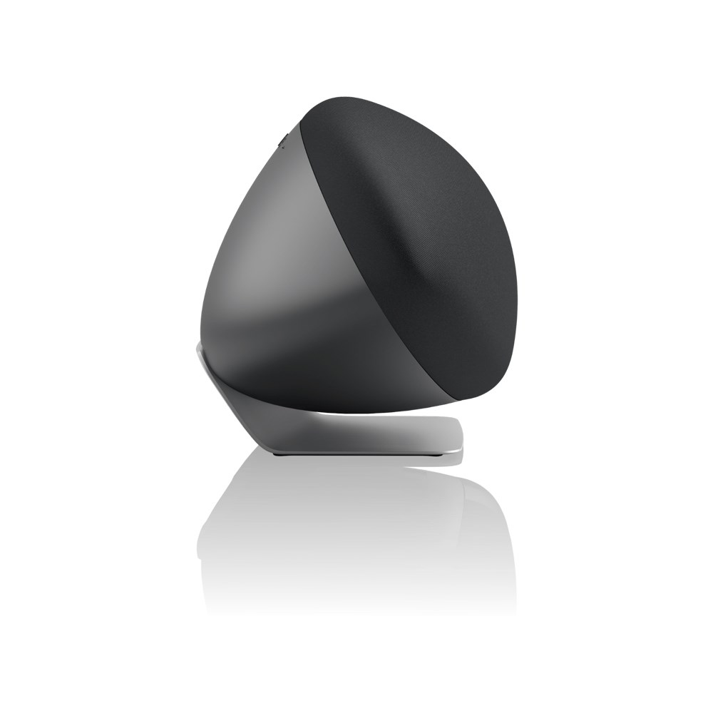B&W Zeppelin Pro Edition